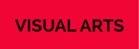 Visual-Arts-Cat-Image Visual-Arts-Cat-Image
